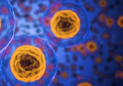 ����һ���µ�̥���������Ӽ������ʲôʱ����Լ�⣿