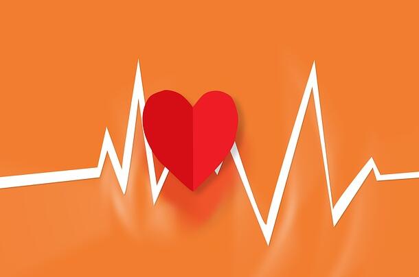 ���������Ӽ�������Ǯ��ʲô�������Ӽ�������������ģ�