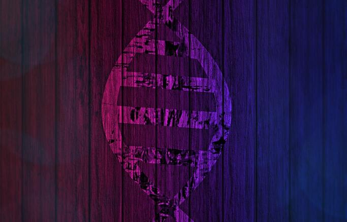 ��������û�г���֤��ô�����ϻ�����ҪЯ����Щ֤����