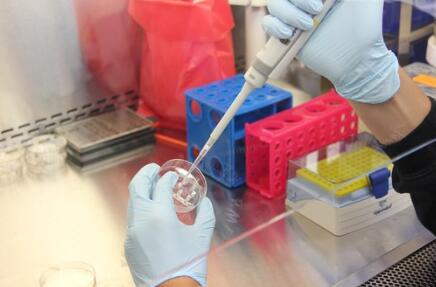 ������ʲô����֪������̥��������˭�����ѡ��