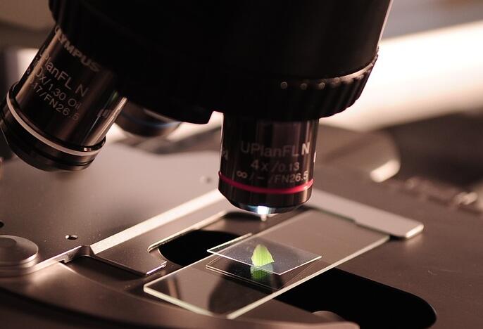 �����ǲ���������ʲô������ţ���������Ӽ��?