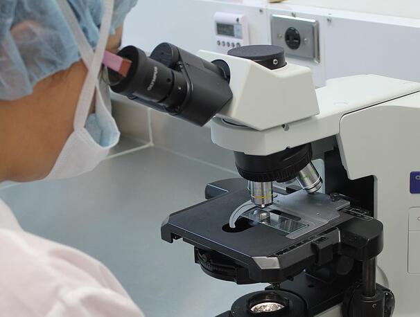 ����������û�г������Լ����������ô���أ�