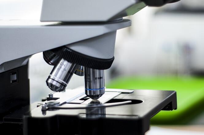 �������������Ӽ�������˾?����Щ�жϱ�׼��