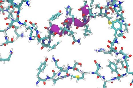 ����DNA�ܼ����ǲ�������������ʲô������