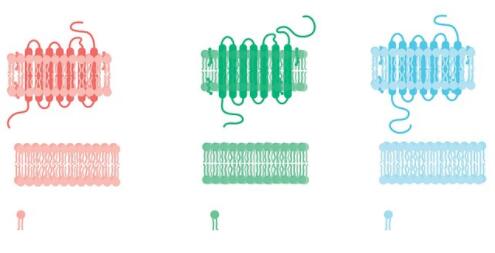 �������Ӽ��Ҫ��ʲô�ط�����ʲô�������Ӽ�������������ɿ��ģ�